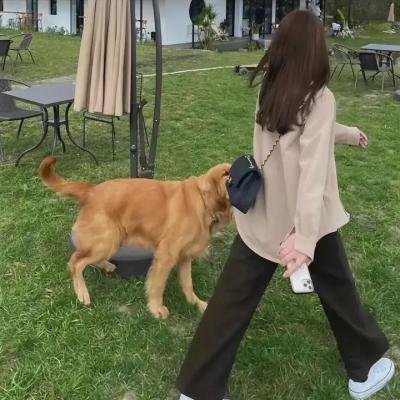 墨西哥情书